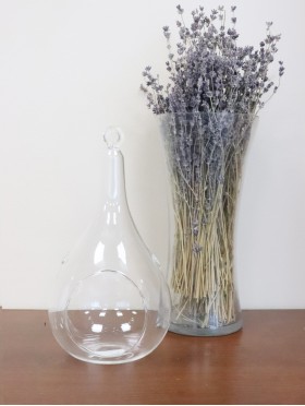 Water Drop Micro Landscape Glass Vase (PICKUP ONLY